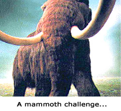 A mammoth challenge