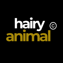 Hairy Animal